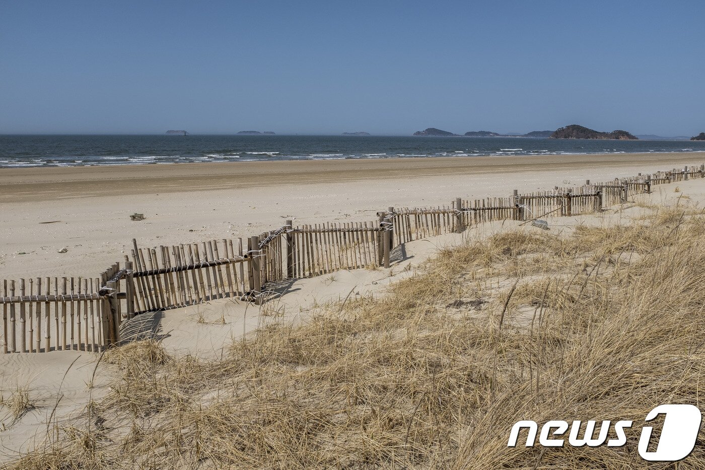 본문 이미지 - 해안사구를 따라 이어지는 기지포 해변 탐방로