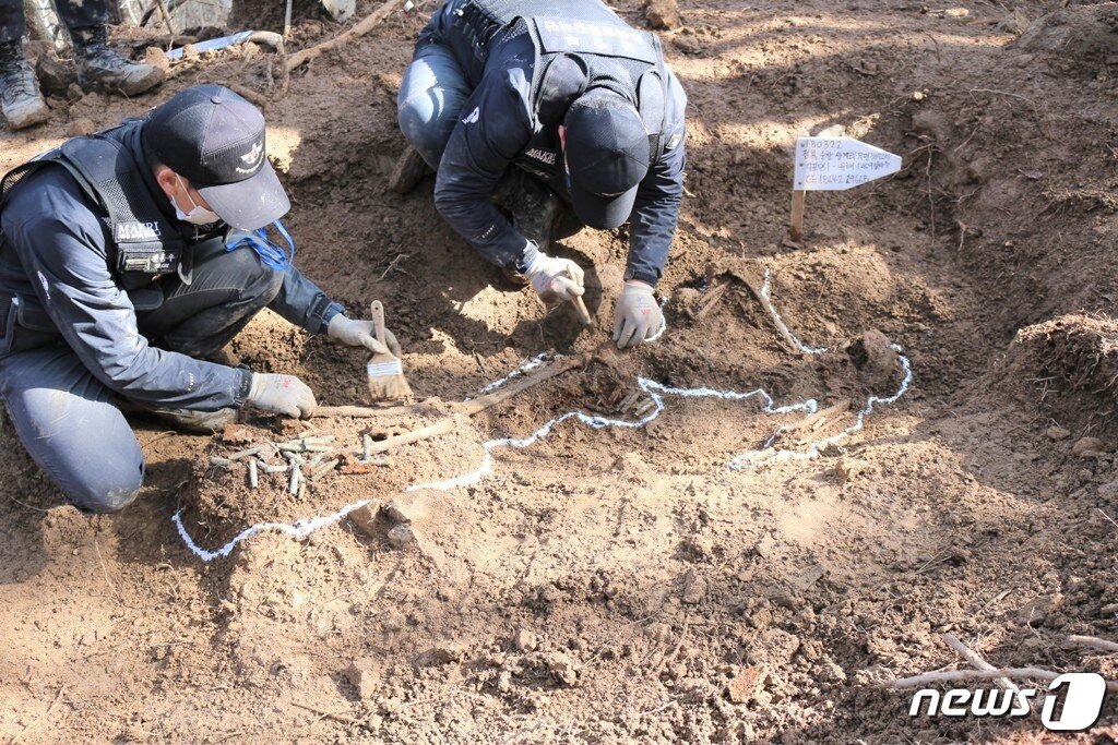 본문 이미지 - 육군35사단 임실순창대대는 국방부유해발굴감시단과 함께 순창군 쌍치면 일대에서 625전사자유해1구를발굴했다.(35사단 제공)ⓒ News1