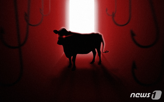 "육우→한우, 호주산→뉴질랜드산"…원산지 속인 레스토랑 직원