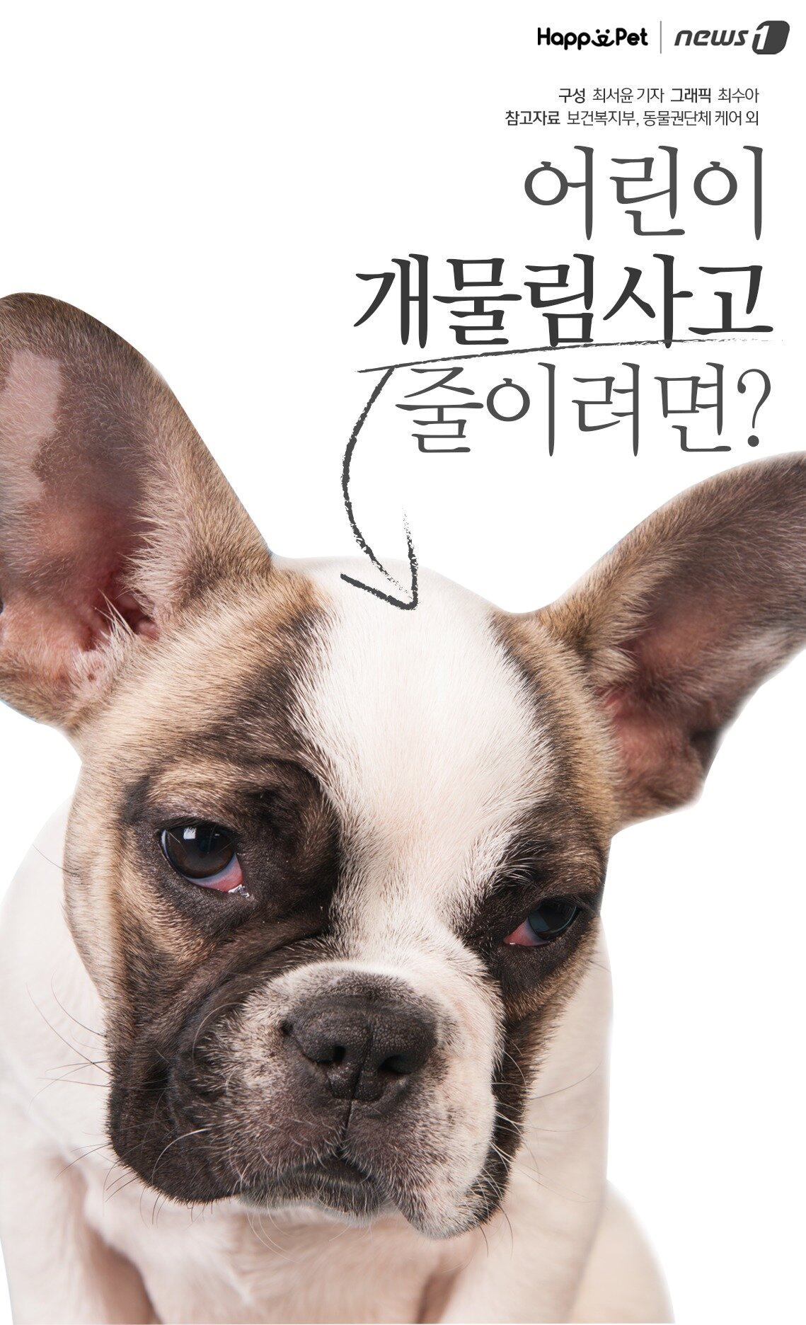 본문 이미지 - 참고자료 보건복지부, 동물권단체 케어 외.