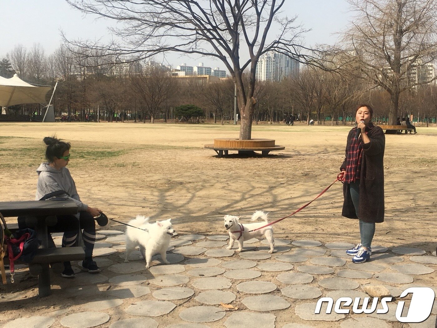 본문 이미지 - 곽태희 훈련사가 올바른 반려견 산책법에 대해 소개하고 있다.ⓒ News1 이기림 기자