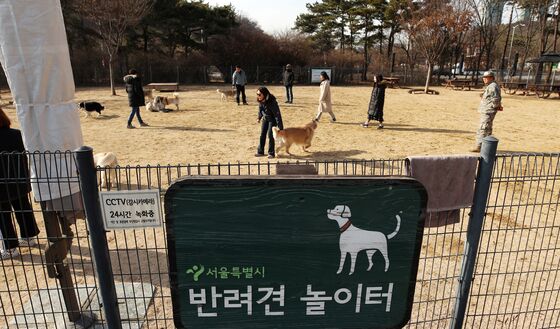 반려견놀이터 인기인데…배설물 안 치우고 물림 사고 빈발