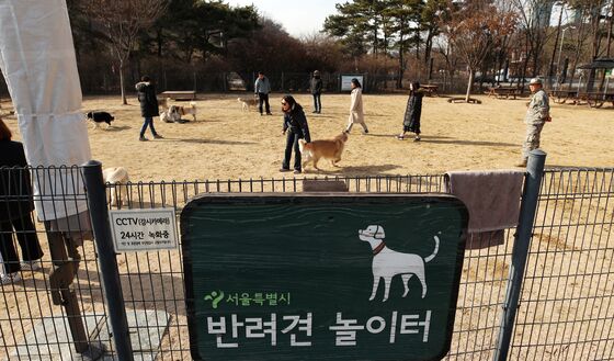 서울 반려견 놀이터 간 40% "보호자, 개 관리 소홀…펫티켓 필요"