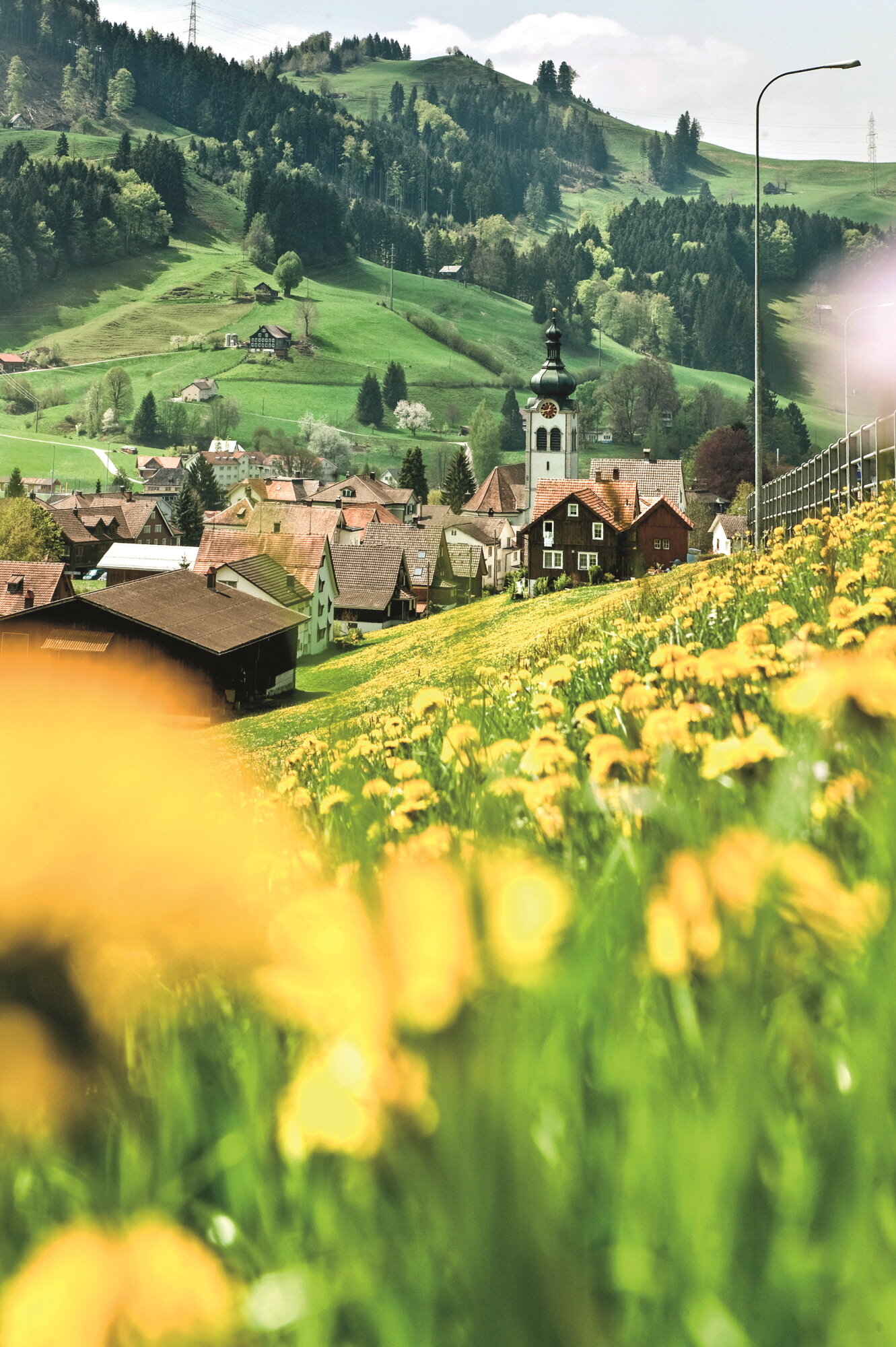 본문 이미지 - 들꽃들로 가득한 보덴제 지역ⓒ News1