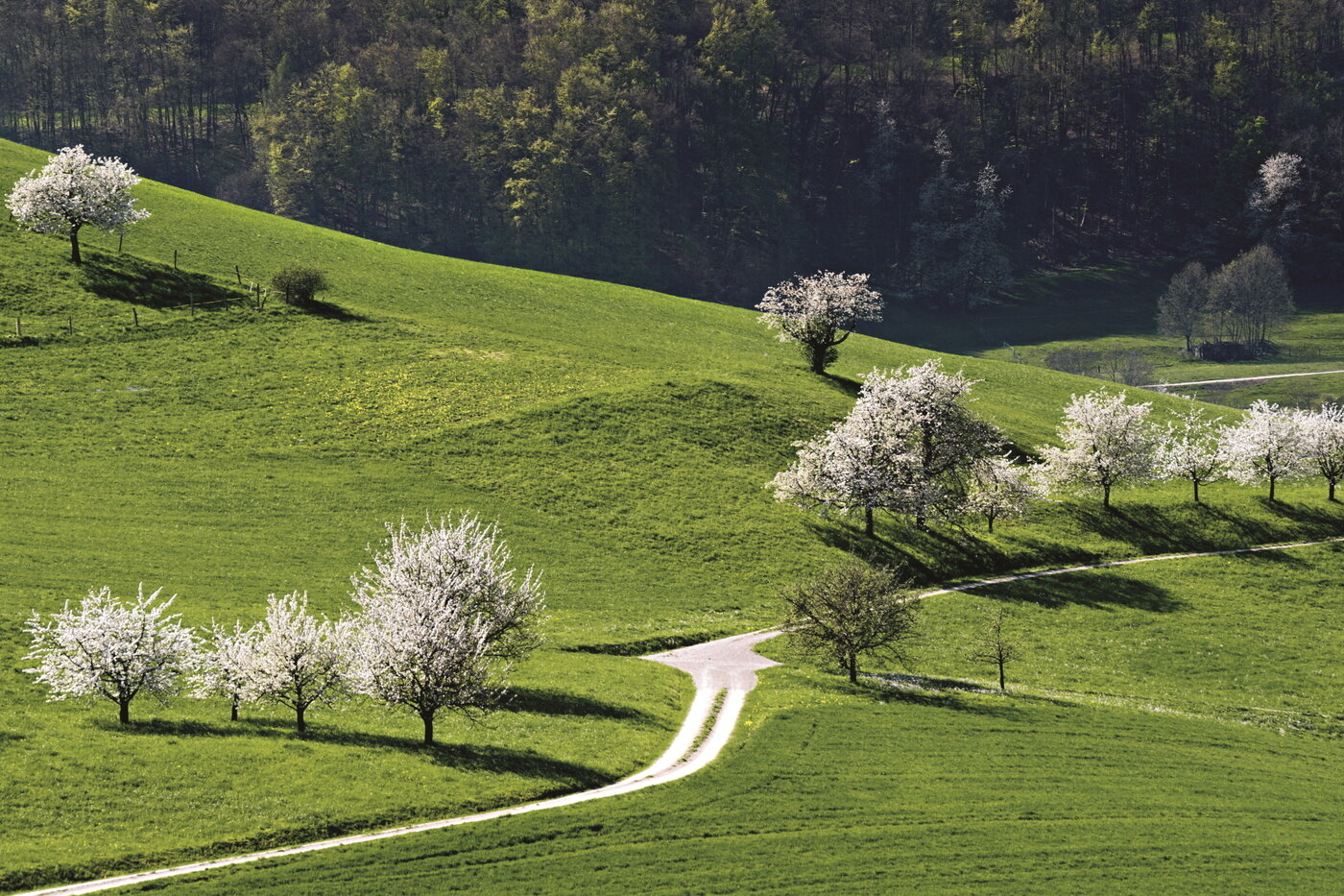 본문 이미지 - 그림 같은 풍경이 펼쳐지는 유라파크 아르가우 자연 공원