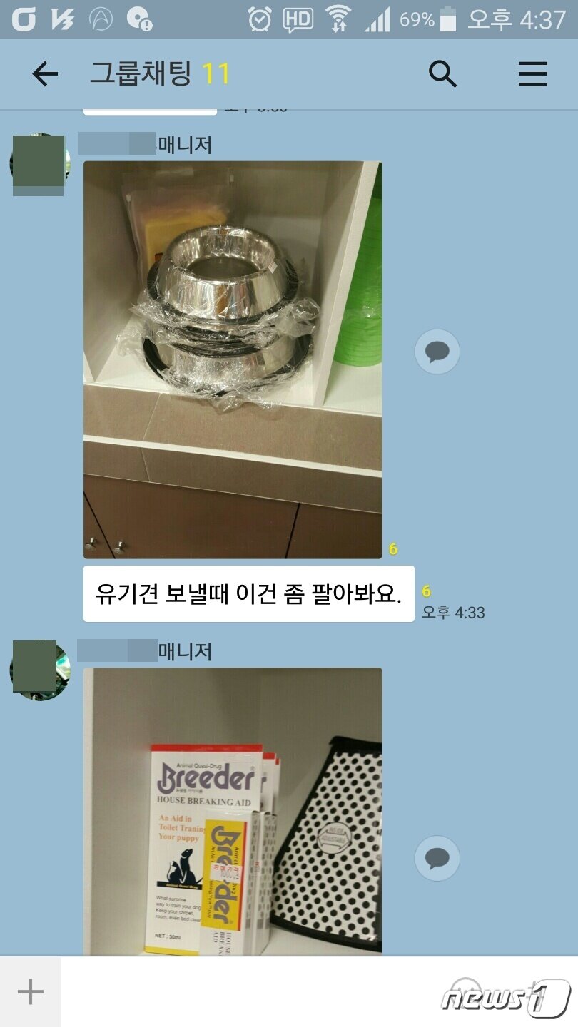 본문 이미지 - 견주가 반려동물을 파양할 때 주고간 용품을 판매하기도 했다(사진 동물자유연대 제공)ⓒ News1