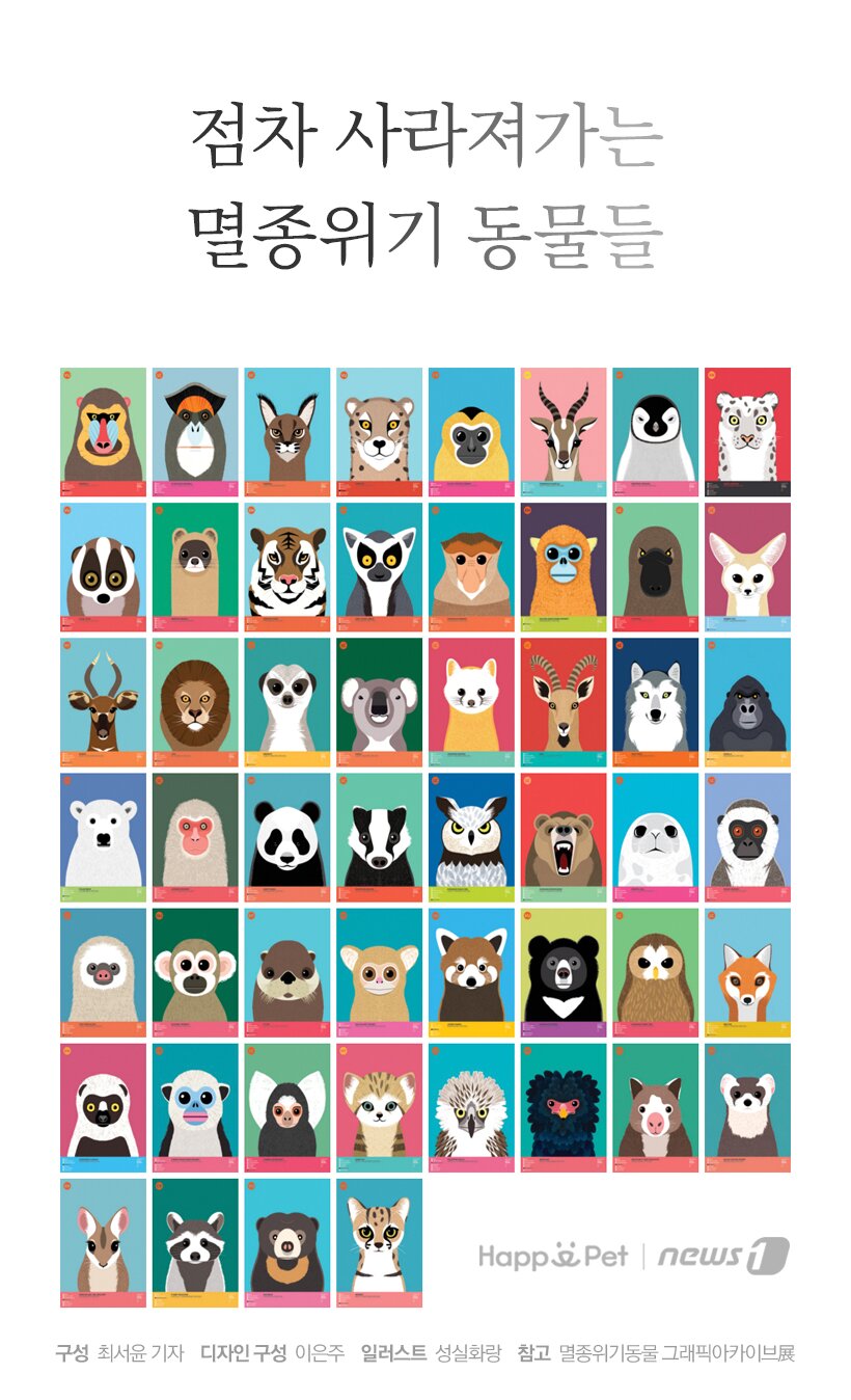 본문 이미지 - 점차 사라져가는 멸종위기 동물들.