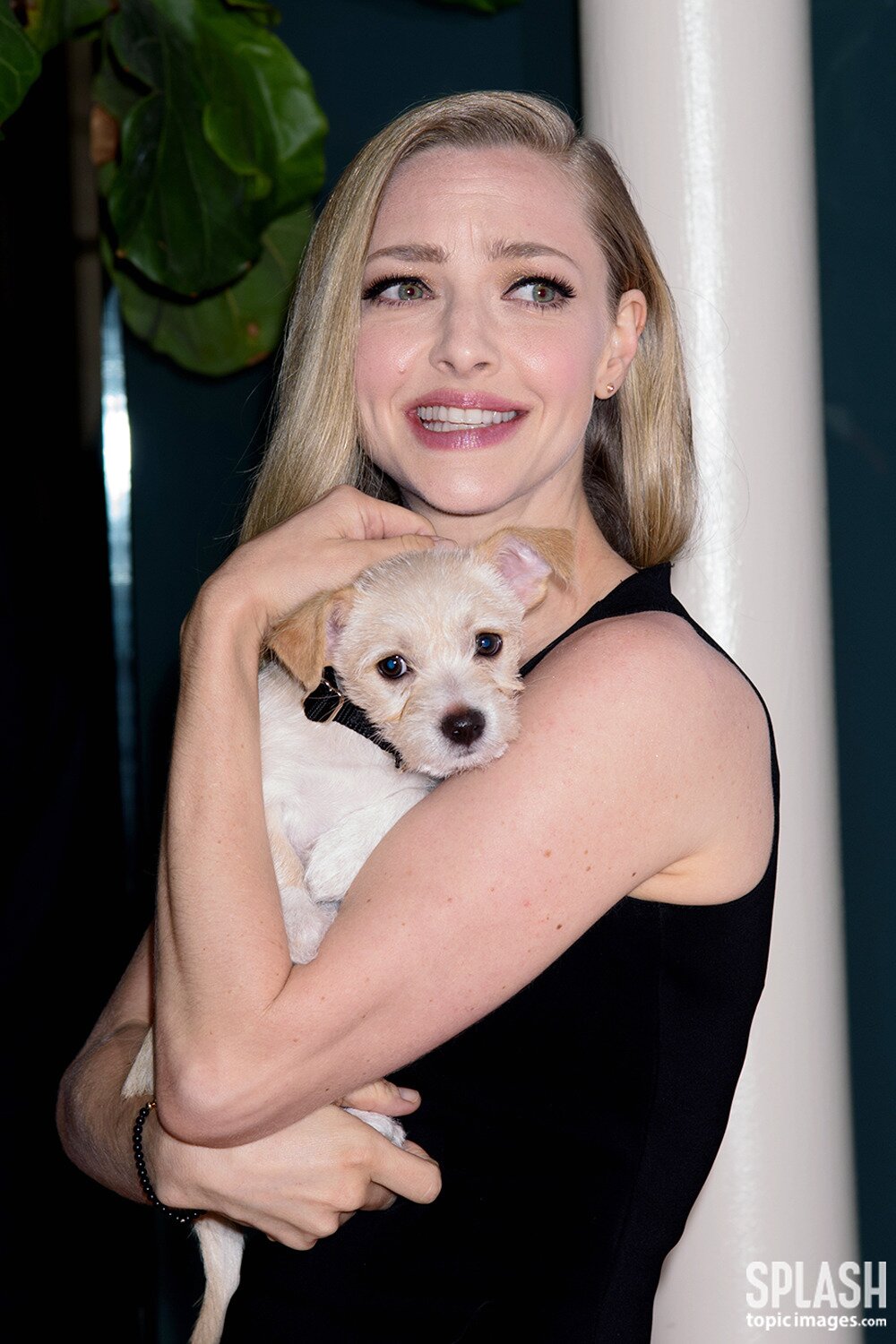 본문 이미지 - TOPIC/Splash News ⓒ News1