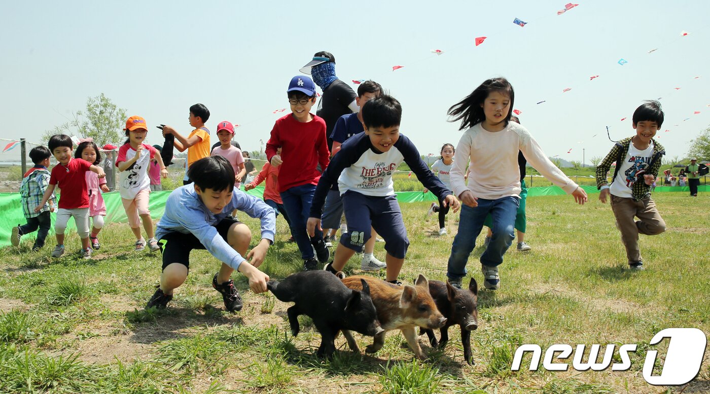 본문 이미지 - 오는 27일부터 10일간 함평엑스포공원에서 개최되는 함평 나비대축제가 다양한 즐길거리로 관람객을 맞이한다.(함평군 제공)2018.4.17/뉴스1 ⓒ News1