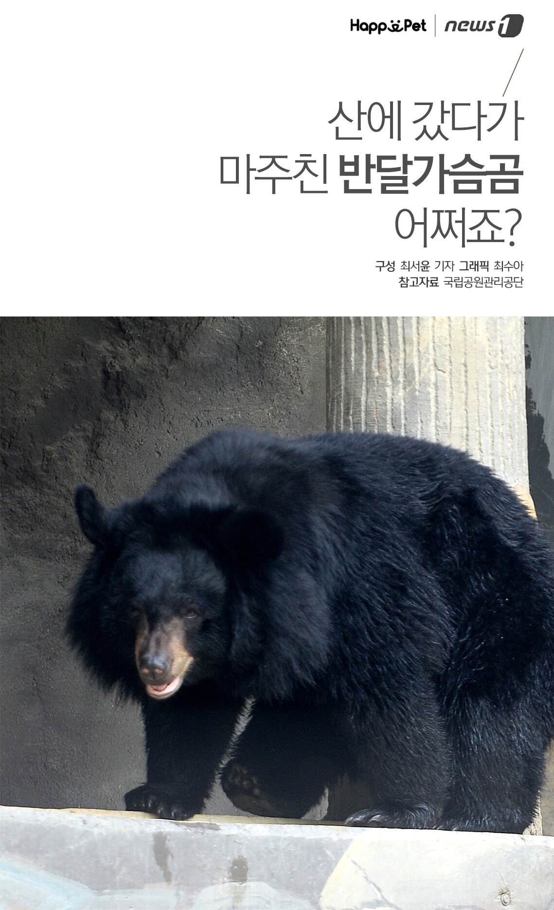 본문 이미지 - 참고자료 국립공원관리공단 