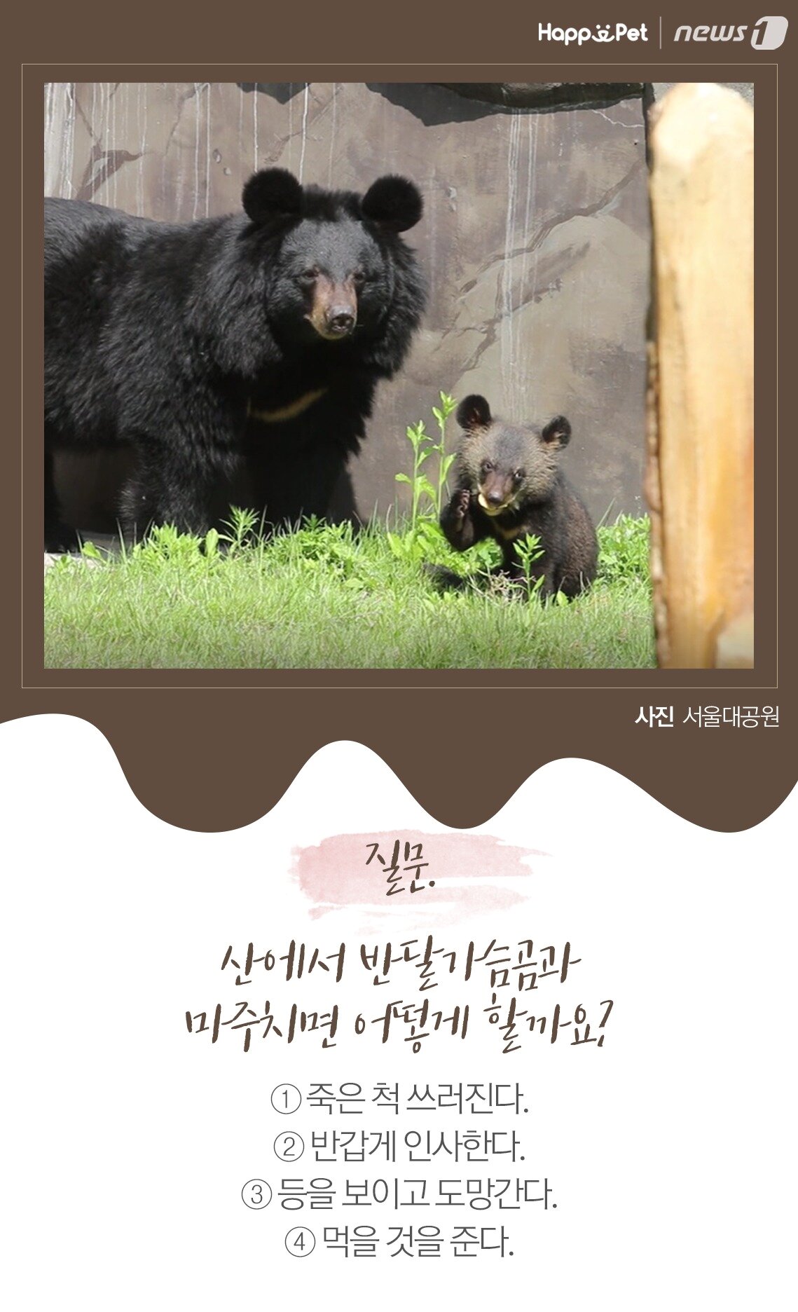 본문 이미지 -  사진 서울대공원