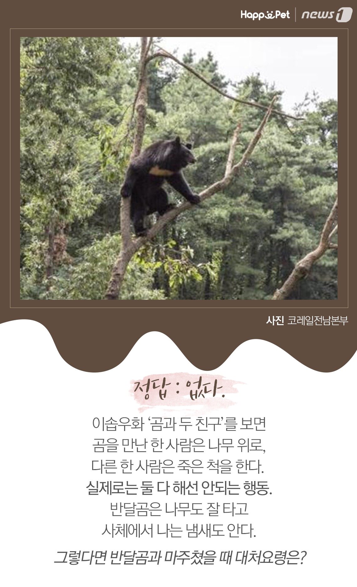 본문 이미지 -  사진 코레일 전남본부