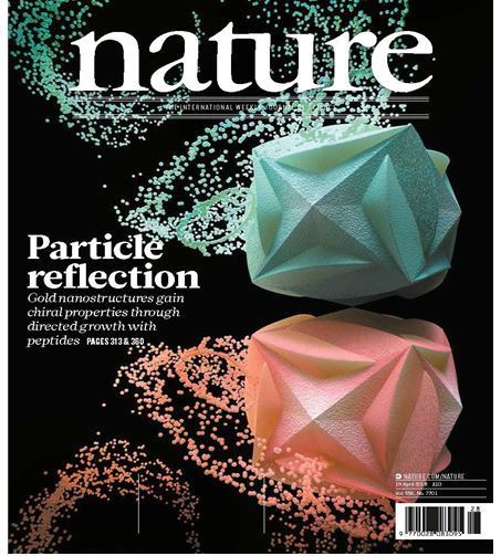 본문 이미지 - ⓒ News1