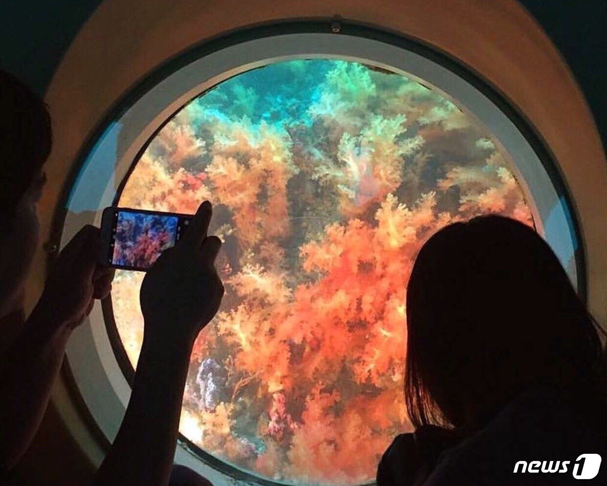 본문 이미지 - 서귀포잠수함 내부. ⓒ News1