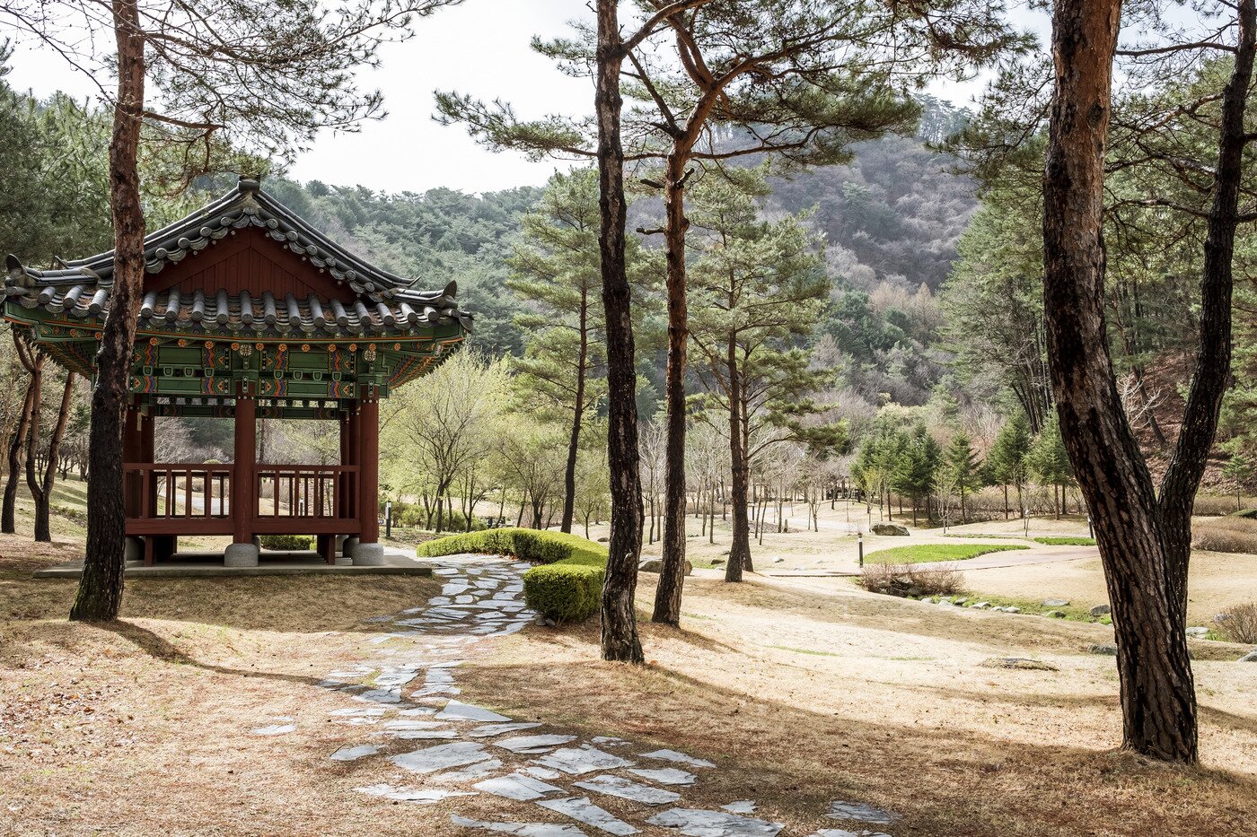 본문 이미지 - 공작산 생태숲. 관광공사 제공