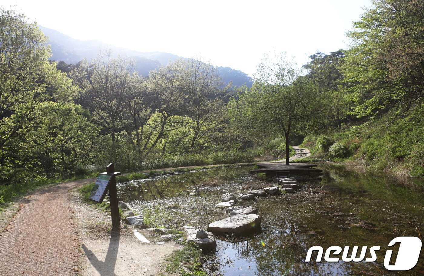 본문 이미지 - 해인사소리길(한국관광공사 제공) ⓒ News1 노정은 기자