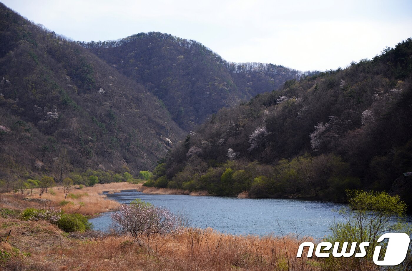 본문 이미지 - 감동벼룻길(한국관광공사 제공) ⓒ News1 노정은 기자