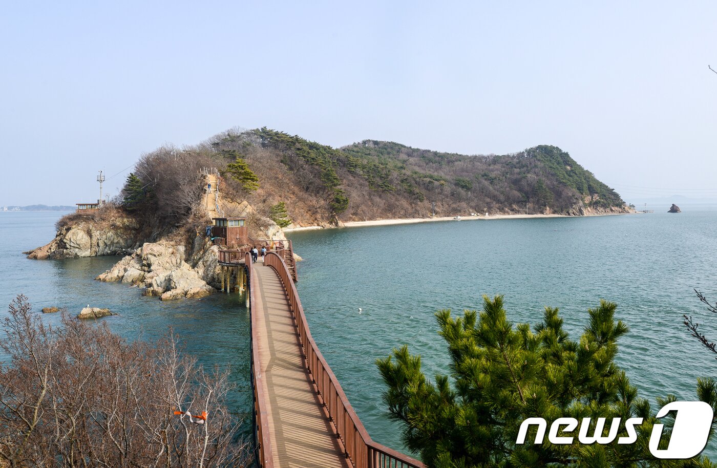 본문 이미지 - 대부해솔길(한국관광공사 제공) ⓒ News1 노정은 기자