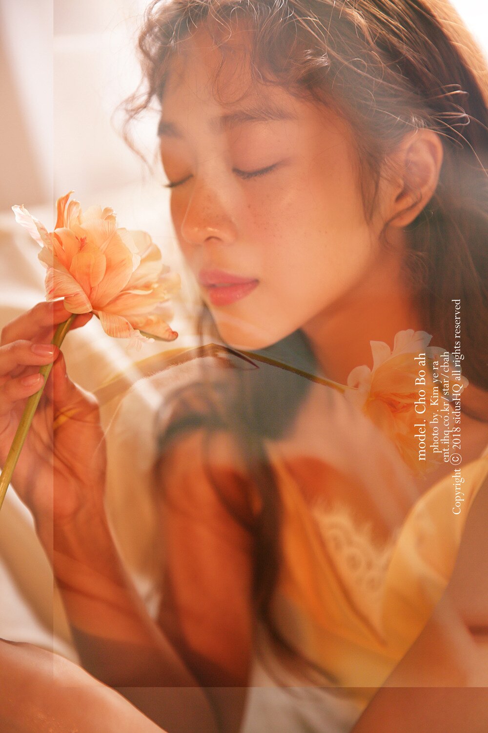 본문 이미지 - 싸이더스 ⓒ News1