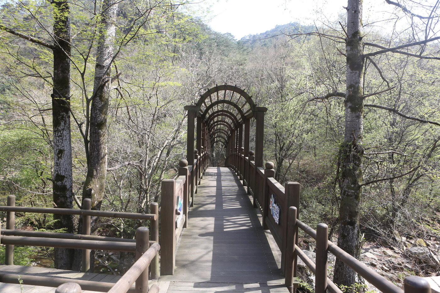 본문 이미지 - 해인사 소리길