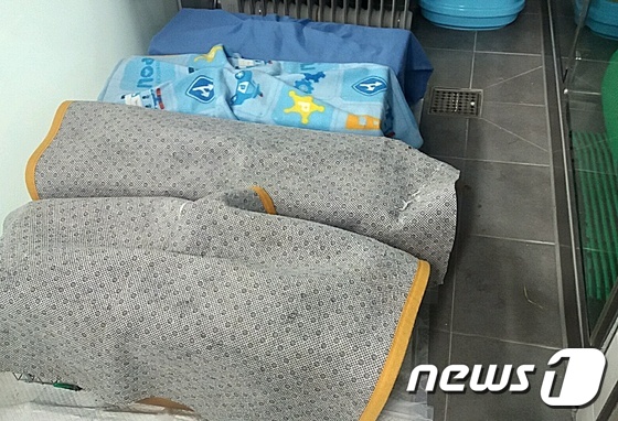 김재영 수의사는 최근 한정애 의원실 등에서 돌보고 있는 국회 길고양이들의 중성화수술을 진행했다. © News1 최서윤 기자