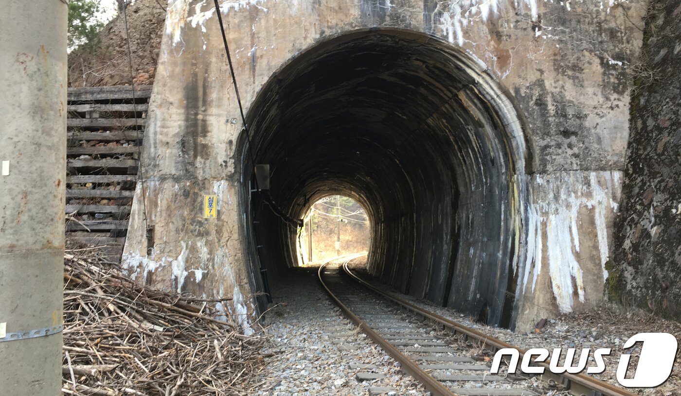 본문 이미지 - 심포7터널ⓒ News1 
