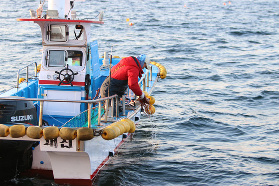 해수부, '소규모 어가·어선원, 조건불리지역' 직불금 지급 개시