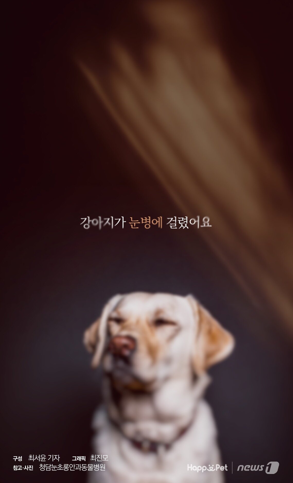 본문 이미지 - 참고자료 청담눈초롱안과동물병원 