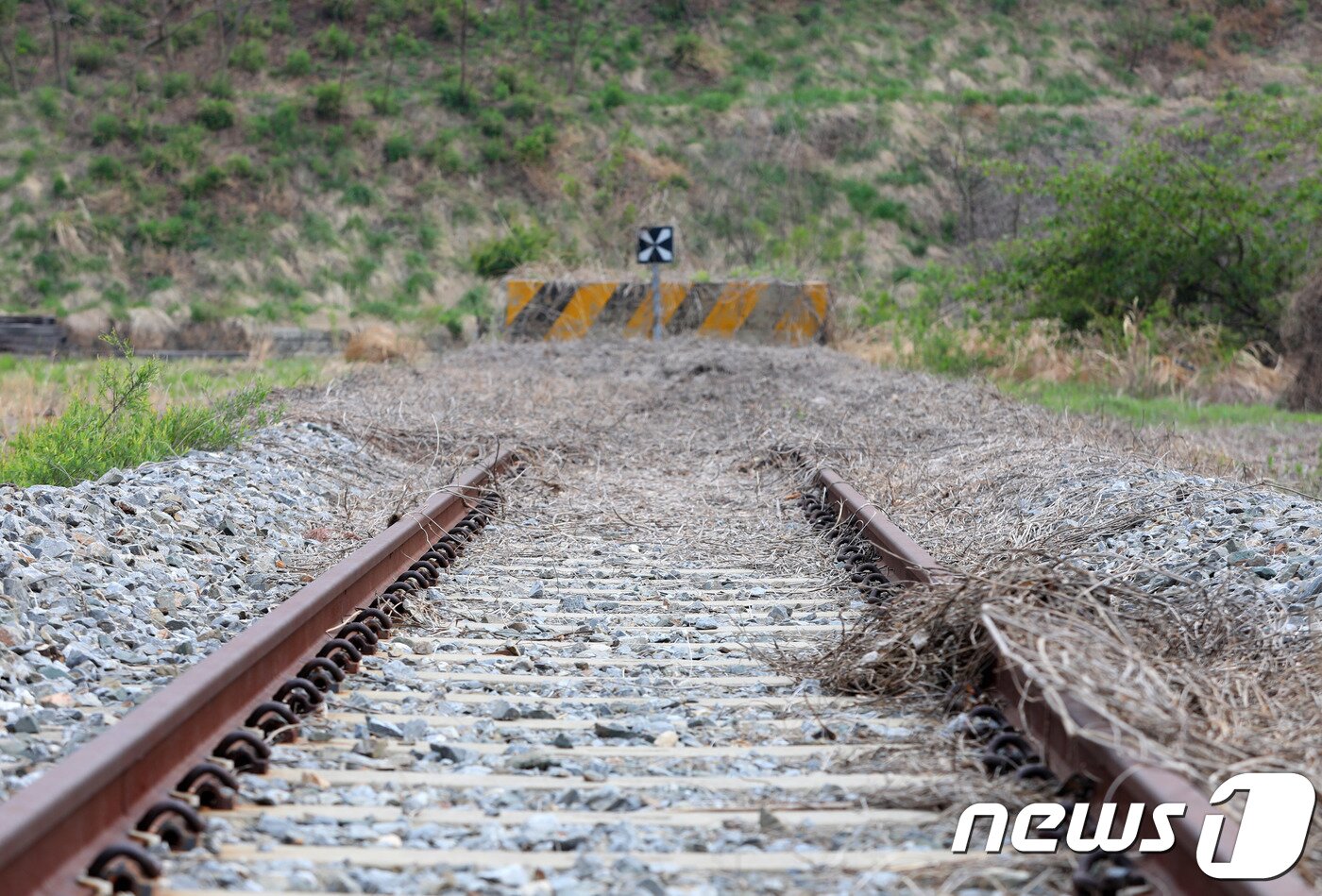 본문 이미지 - 강원도 고성군 민통선 내 동해선 제진역 강릉 방향 철로 자료 사진.(뉴스1 DB)