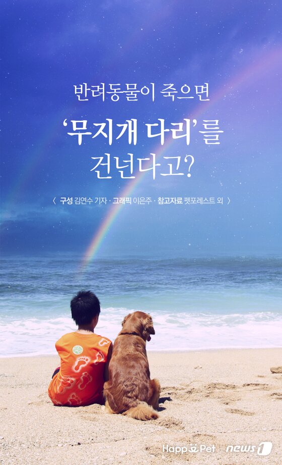 본문 이미지 - 참고자료 펫포레스트 외