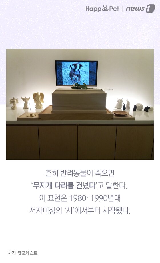 본문 이미지 -  