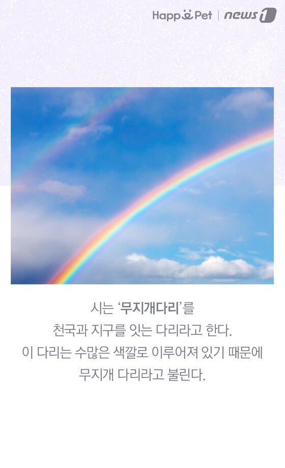 본문 이미지 -  