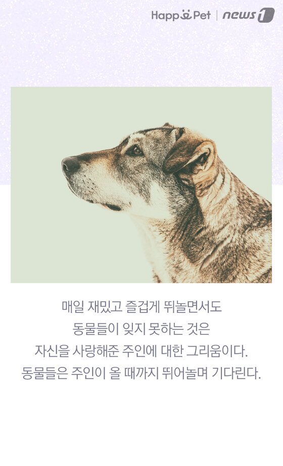 본문 이미지 -  
