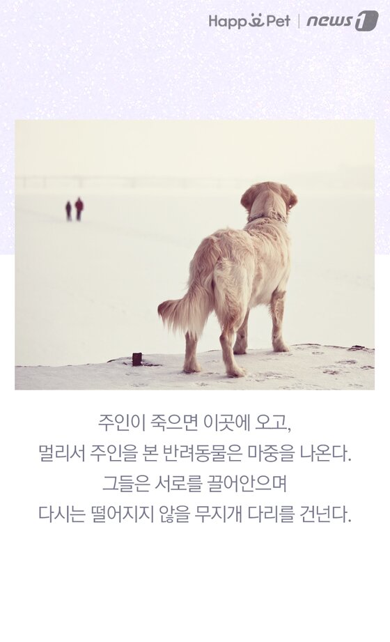 본문 이미지 -  