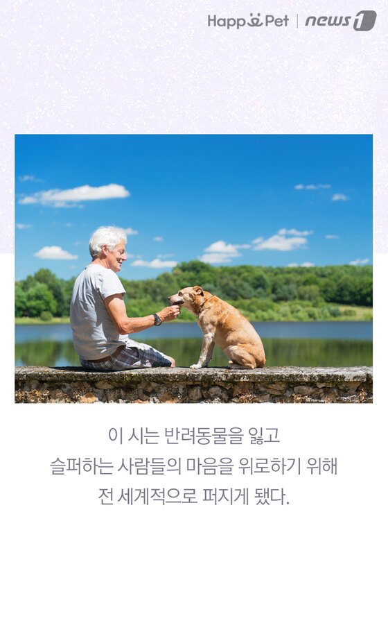 본문 이미지 -  