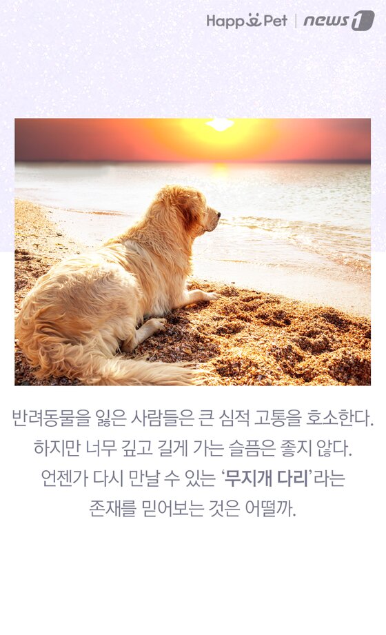 본문 이미지 -  