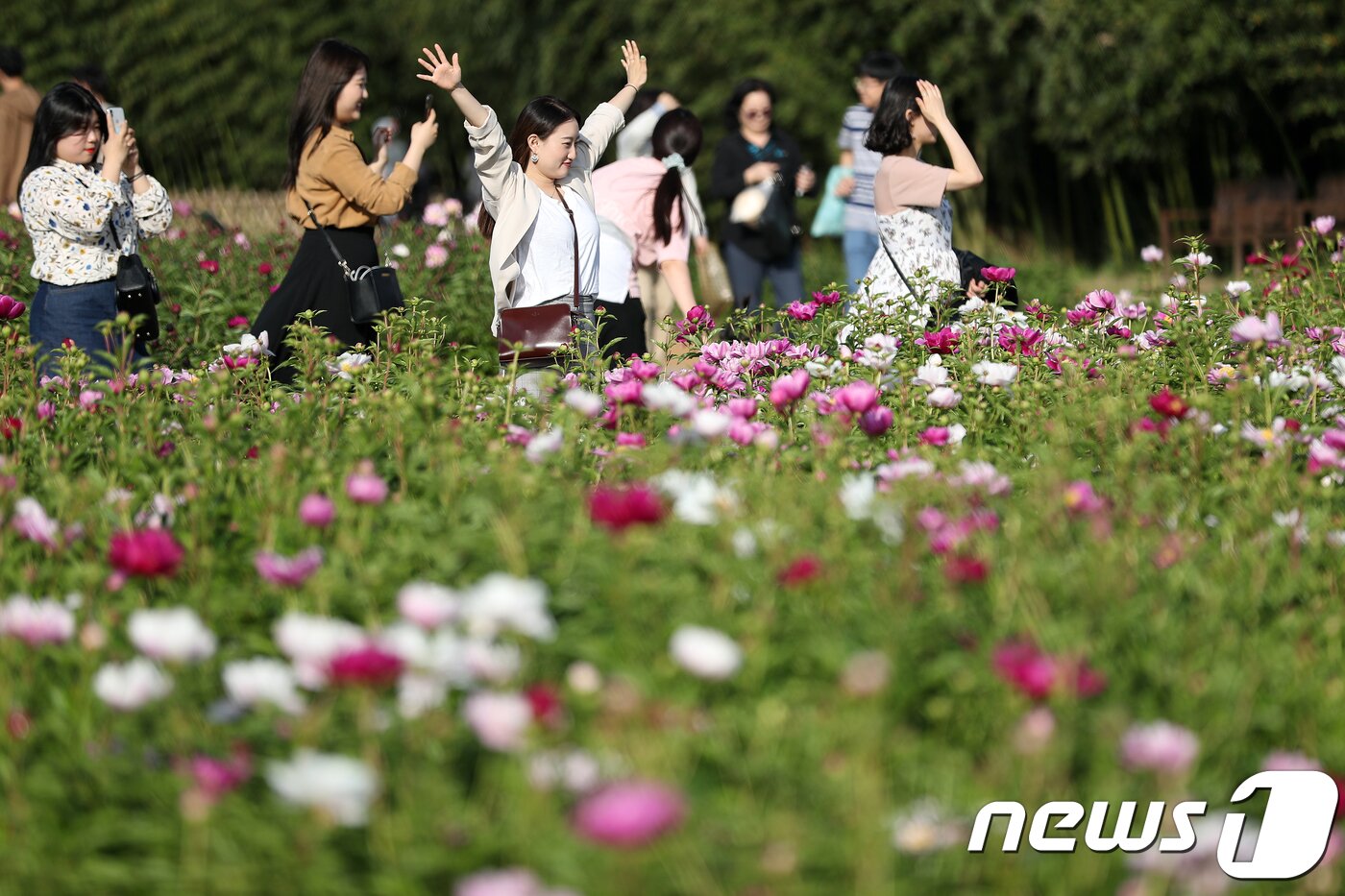 본문 이미지 - 태화강대공원 초화단지. 뉴스1 DB ⓒ News1 이윤기 기자