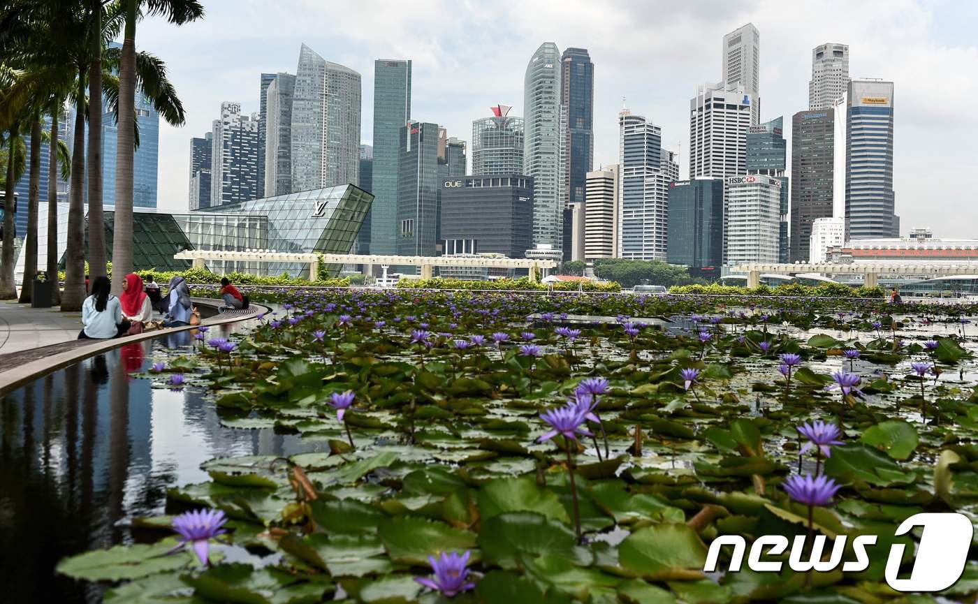 본문 이미지 - 싱가포르 마리나베이샌즈 호텔 내 연못의 모습. ⓒ AFP=뉴스1