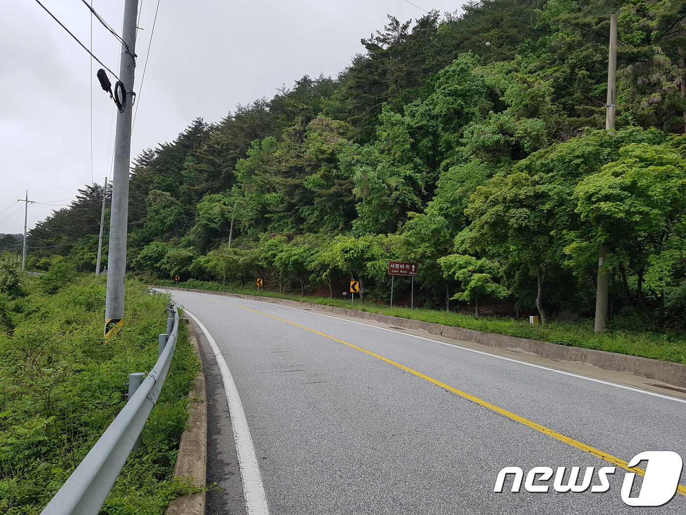 본문 이미지 - 산양 등 야생동물 로드킬 우려가 높은 경북 울진군 한 도로.(사진 한국산양보호협회울진지회 제공)ⓒ News1