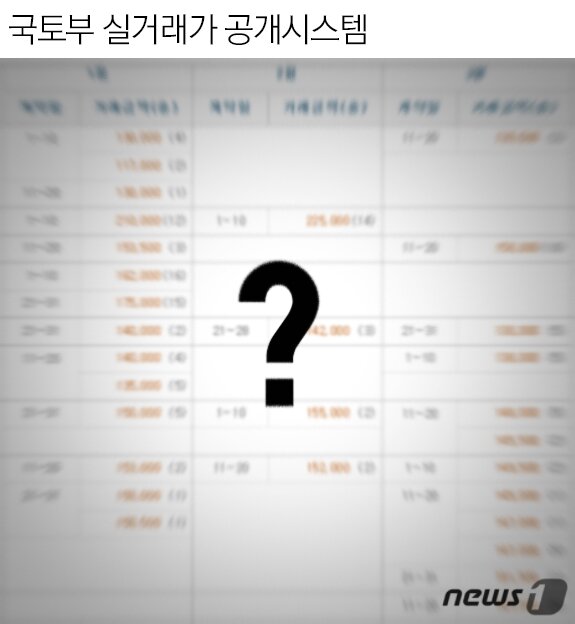 본문 이미지 - ⓒ News1 최진모 디자이너