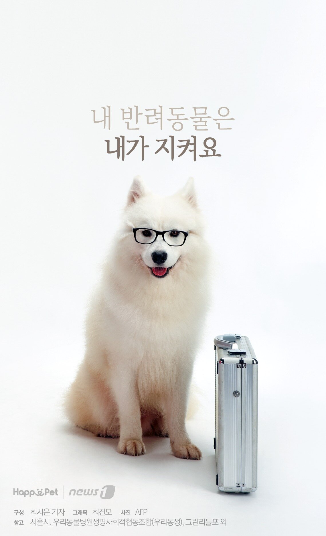 본문 이미지 - 참고 서울시, 우리동물병원생명사회적협동조합(우리동생), 그린리틀포 외.