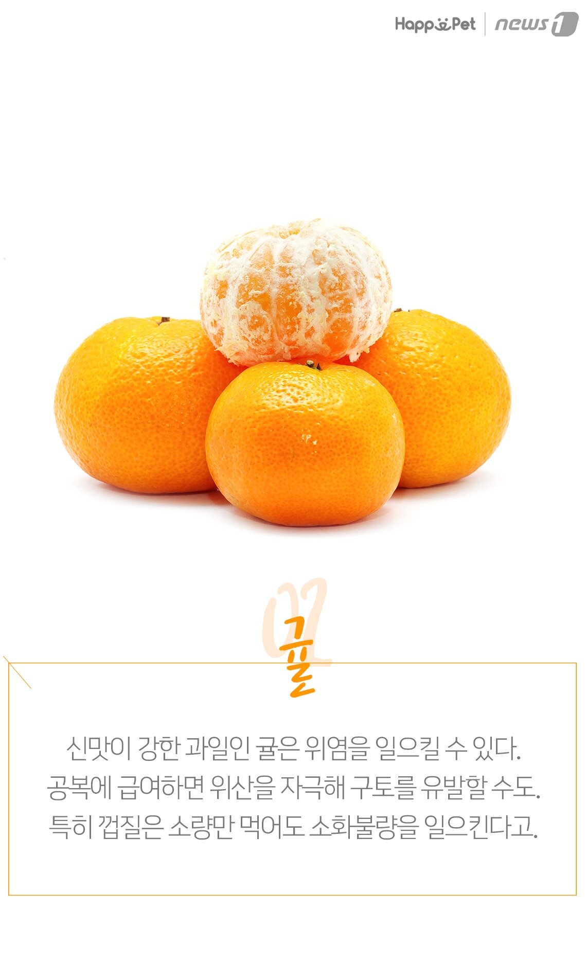 본문 이미지 -  귤