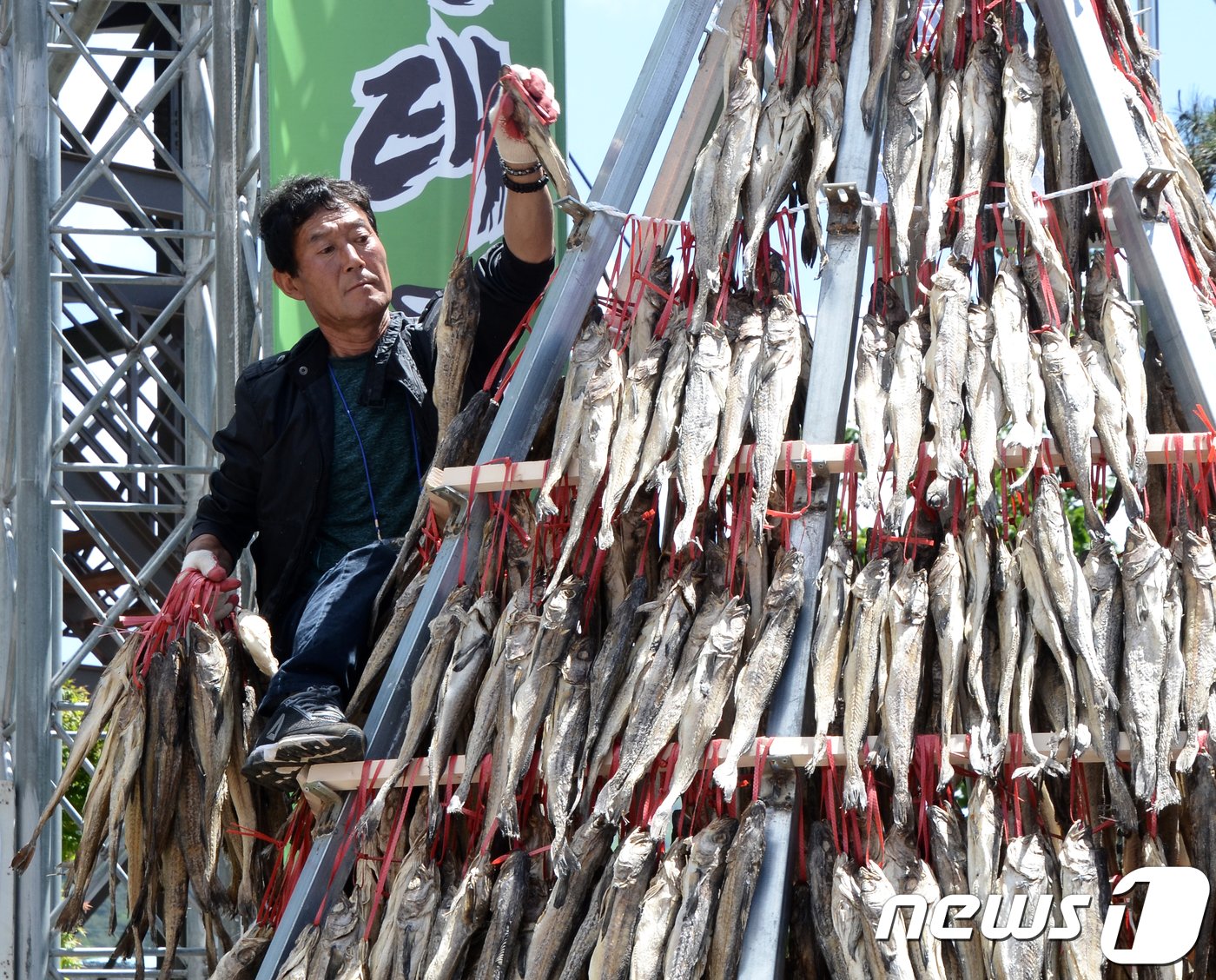 인제 용대리 황태축제 준비하는 축제 관계자.&#40;자료사진&#41;/뉴스1 DB