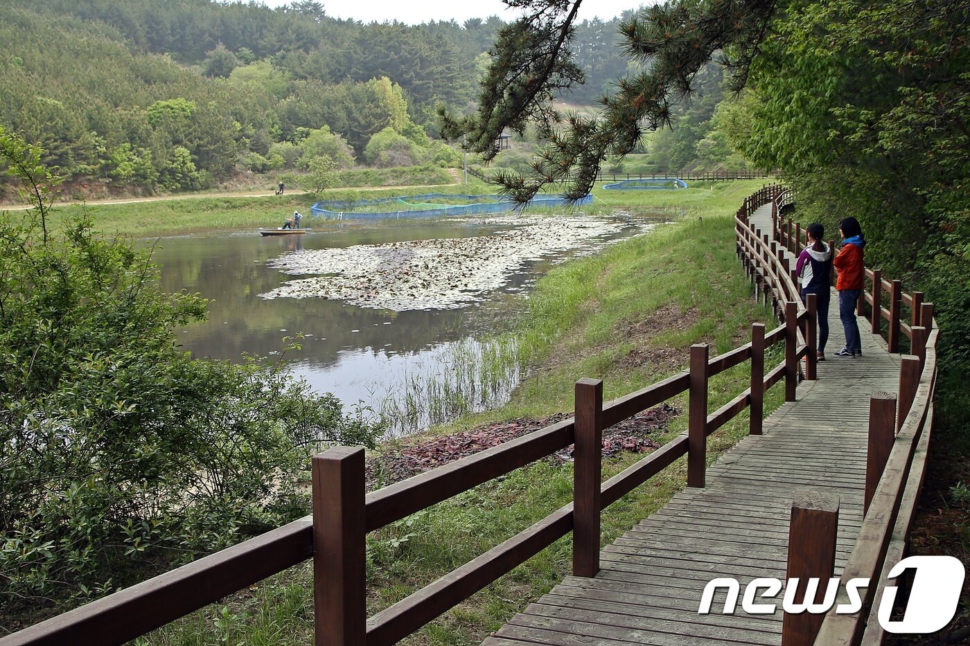 본문 이미지 - 태안 두웅습지 풍경(한국관광공사 제공) ⓒ News1