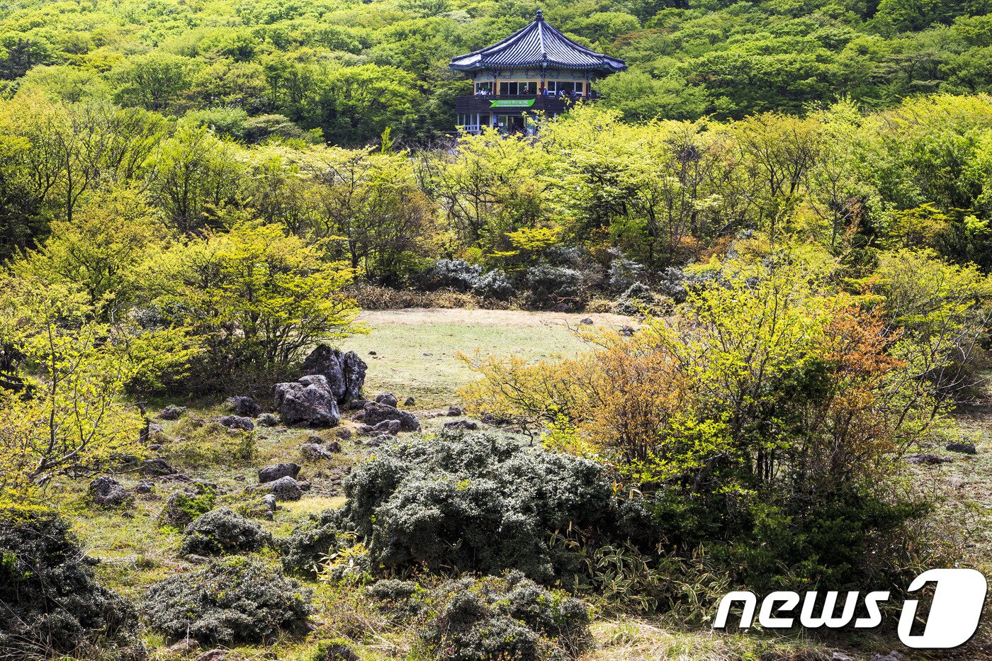 본문 이미지 - 그림 같은 1100고지습지 풍경(한국관광공사 제공) ⓒ News1