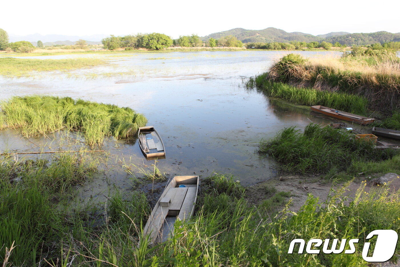 본문 이미지 - 창녕 우포늪. 촬영 장소로 인기 높은 소목나루터.(한국관광공사 제공) ⓒ News1