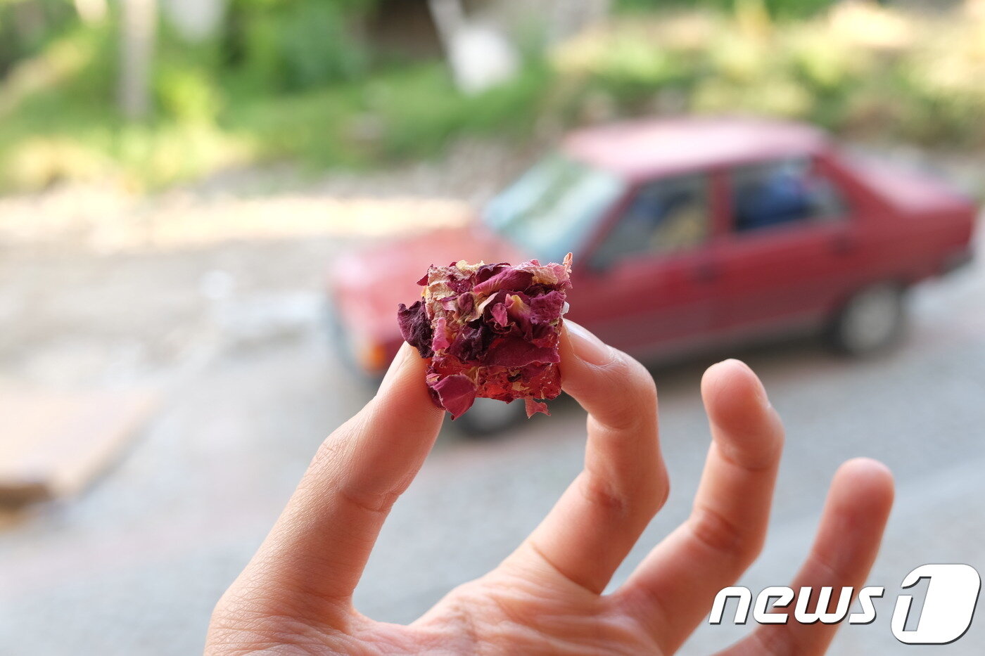본문 이미지 - 장미꽃잎이 가득한 터키시 딜라이트ⓒ News1