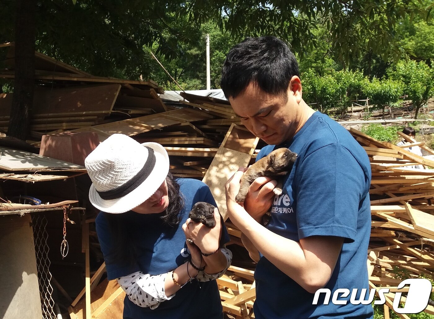 본문 이미지 - 세계적 비올리스트 리처드 용재 오닐(Richard Yongjae O'Neill)과 박소연 동물권단체 케어 대표가 24일 남양주의 한 개농장에서 개들을 구조하고 있다. ⓒ News1