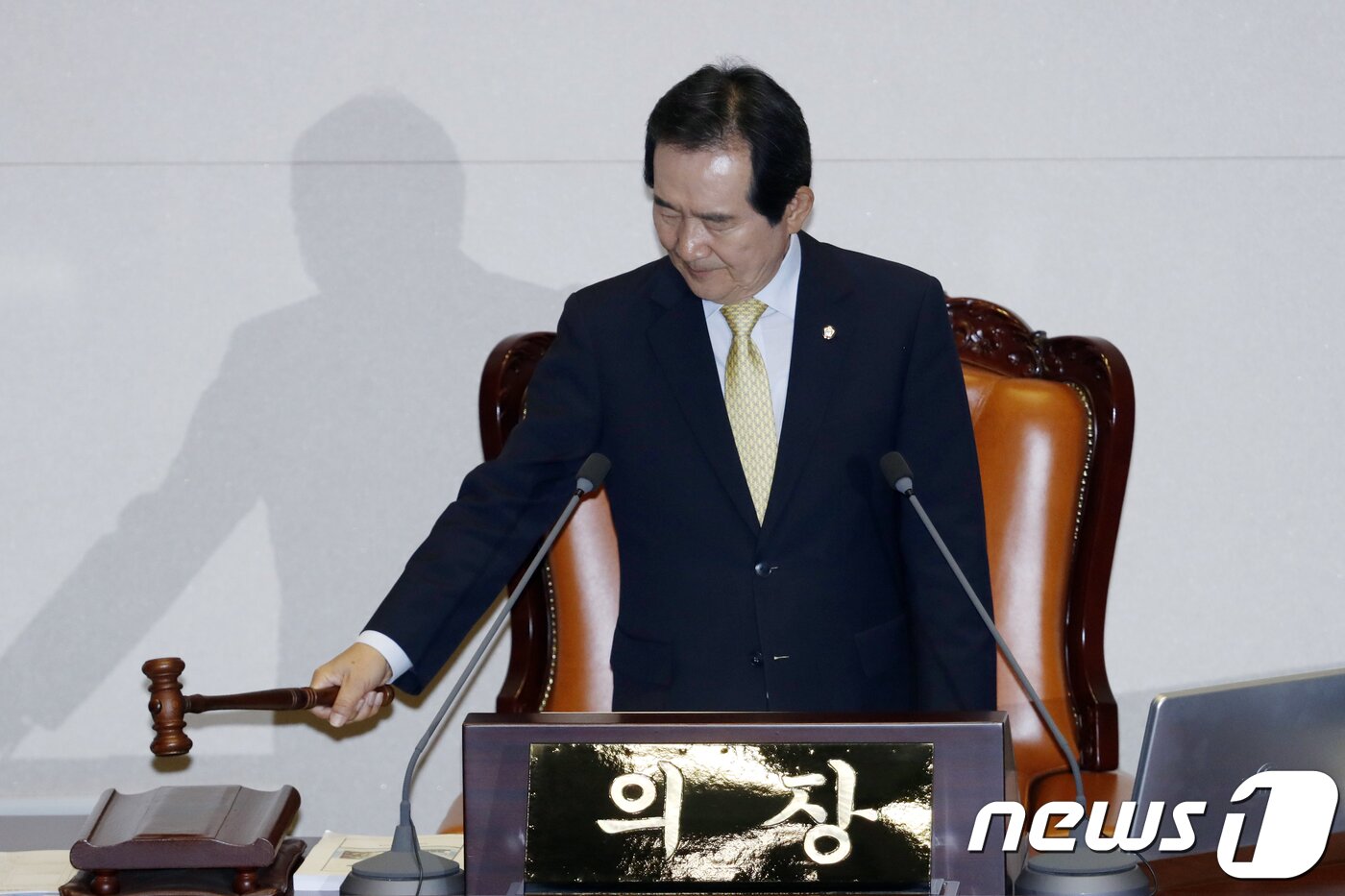 본문 이미지 - 정세균 국회의장이 지난달 28일 오후 서울 여의도 국회에서 열린 본회의에서 의사봉을 두드리고 있다. 2018.5.28/뉴스1 ⓒ News1 안은나 기자