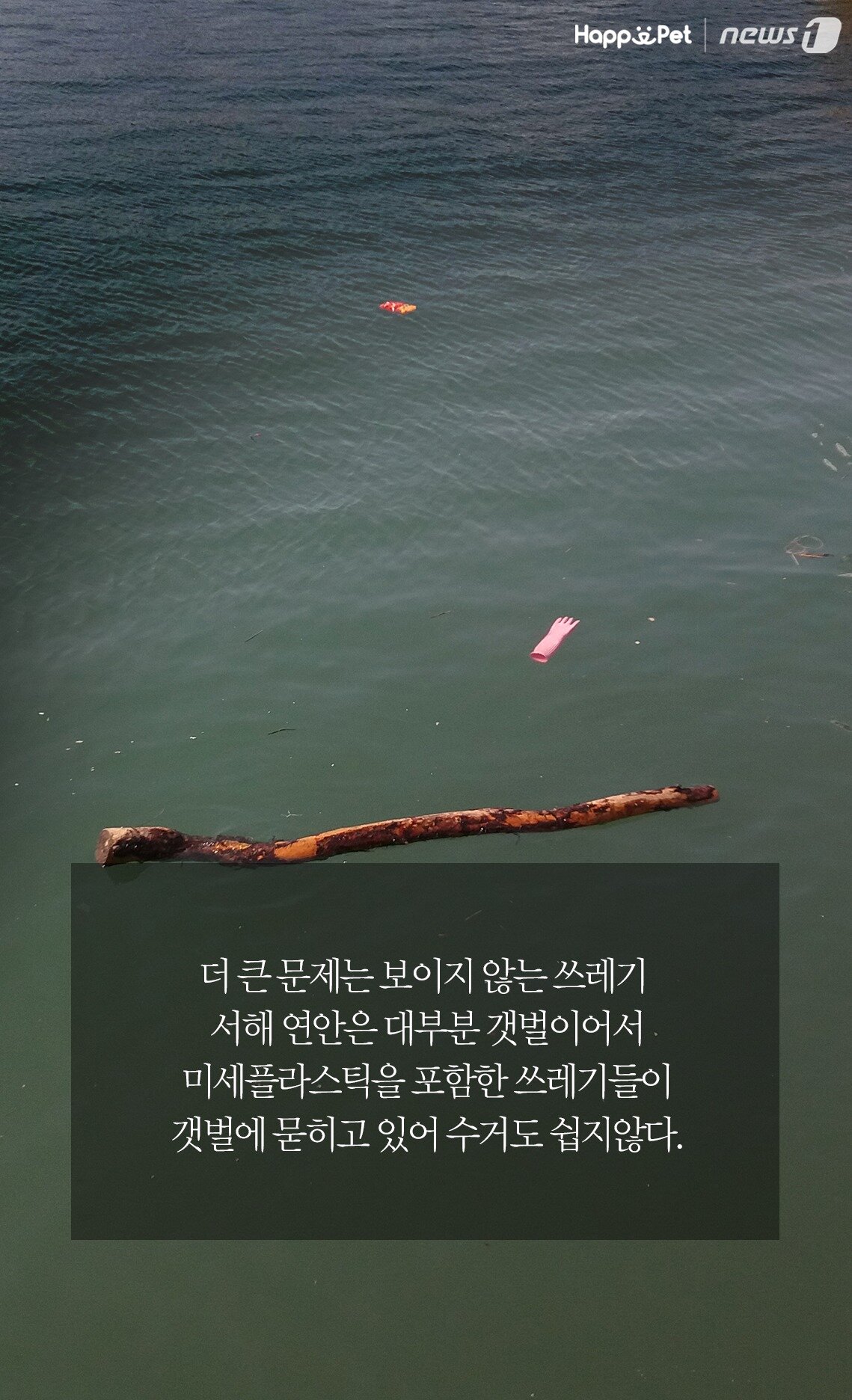 본문 이미지 -  